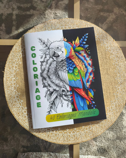 Coloriage Mandala Design d'Audrey