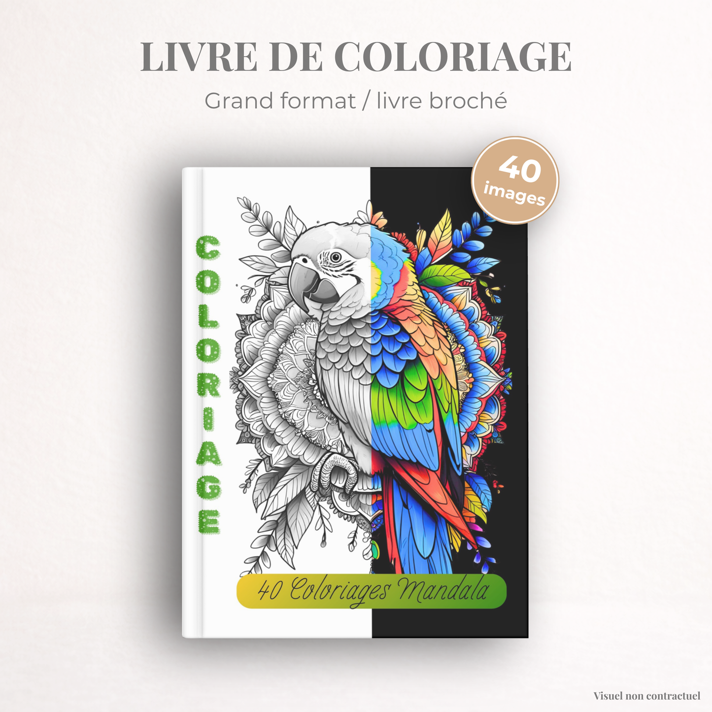 Coloriage Mandala