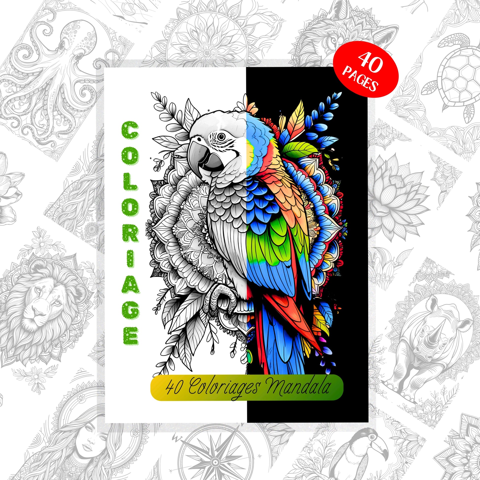 Coloriage Mandala Design d'Audrey