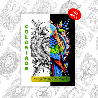 Coloriage Mandala Design d'Audrey