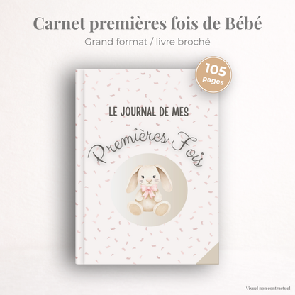 Mon livre de naissance