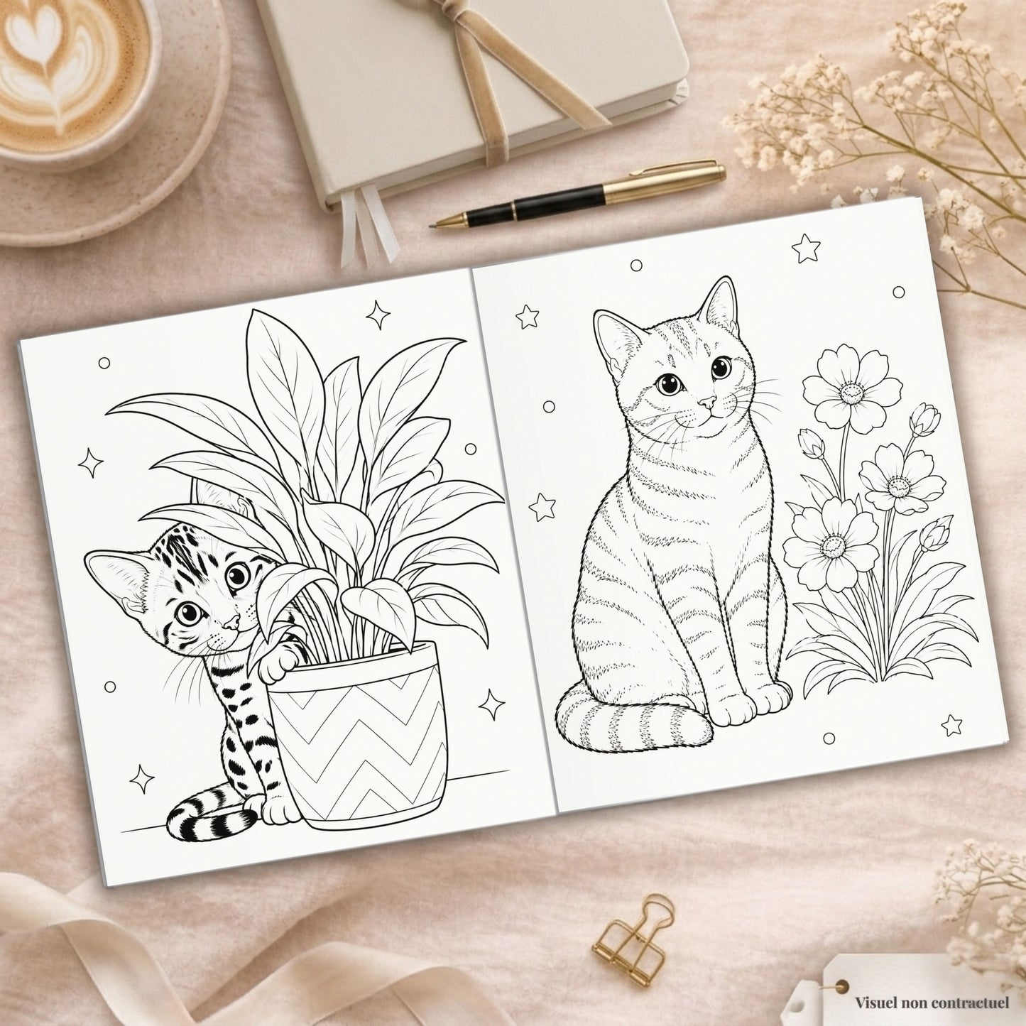 Coloriage de Chats et Chatons