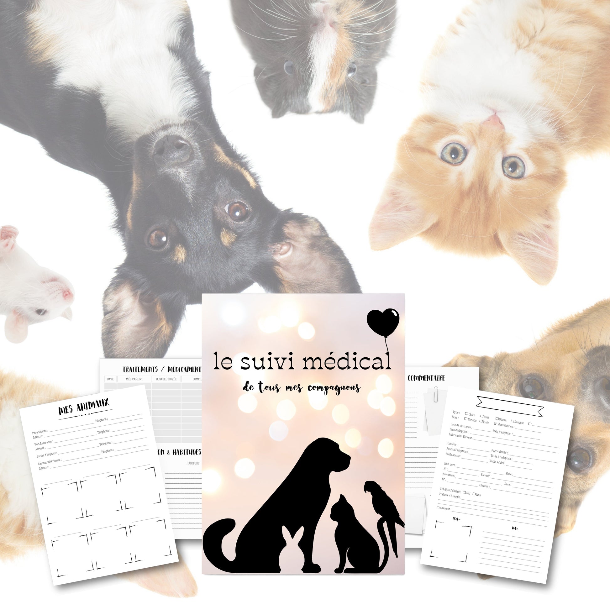 Le suivi Médical de mes Compagnons Design d'Audrey